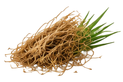 Vetiver